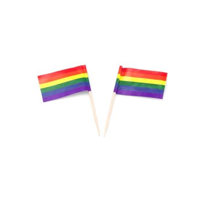 Flag pick (FSC®) Rainbow